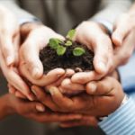 Picture of cupped hands holding of a sprout.